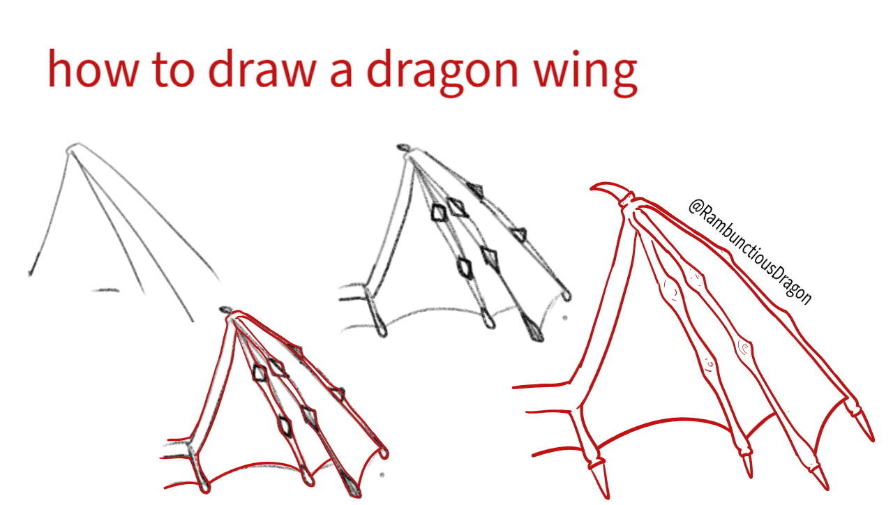 dragon wing drawings