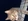 CathChicken