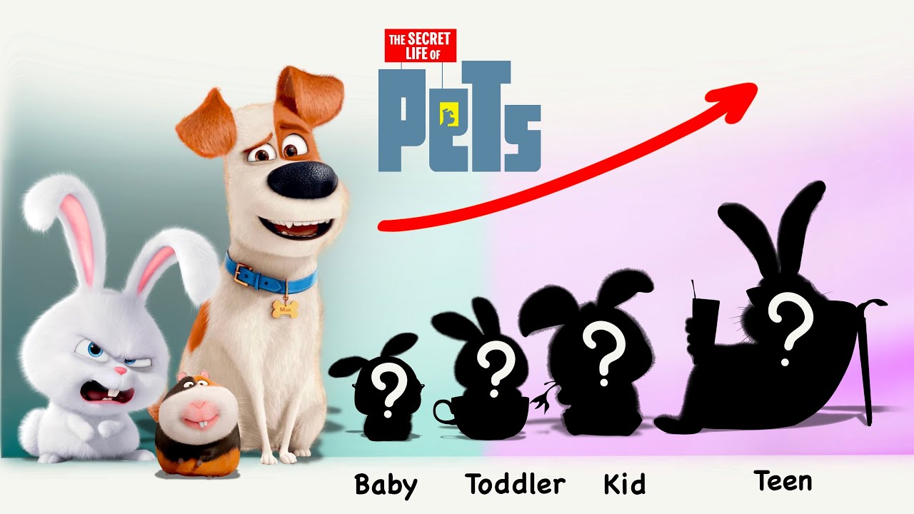 “The Secret Life Of Pets” Character Ages | Fandom