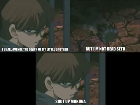 Funny Seto Kaiba Memes Yu Gi Oh Youtube