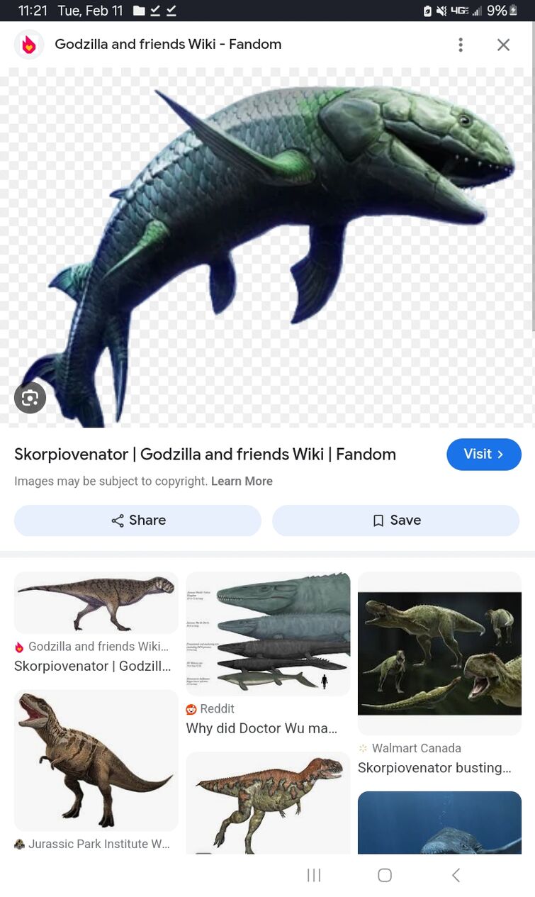 Fandom Image