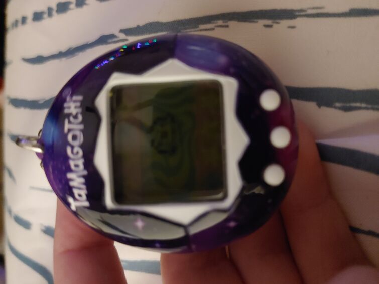 Discuss Everything About Tamagotchi Wiki | Fandom