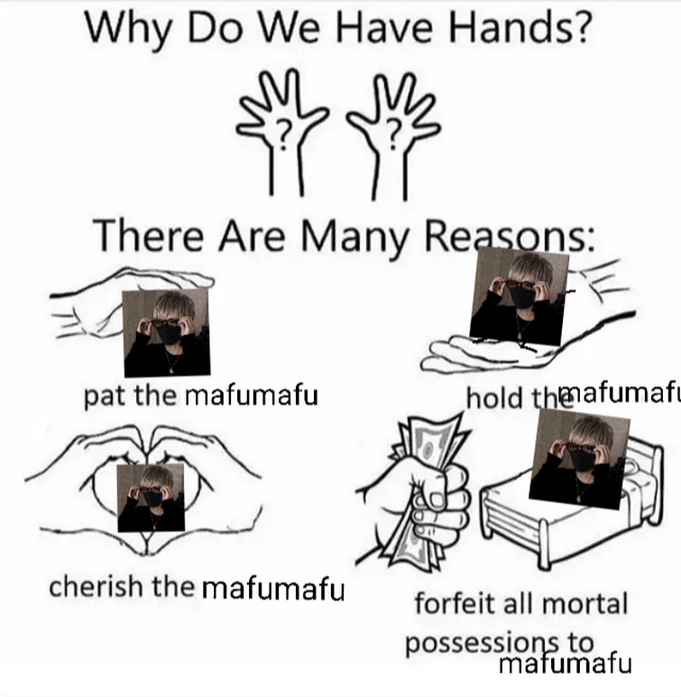 Fandom Image