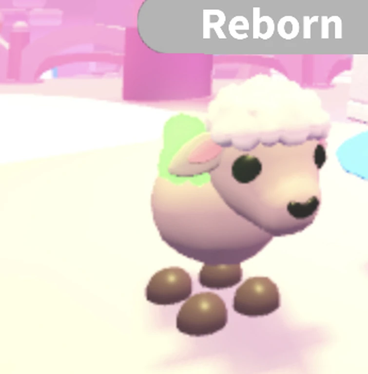 WHY DID THEY CHANGE THE NEON LAMB!?!?!? Fandom