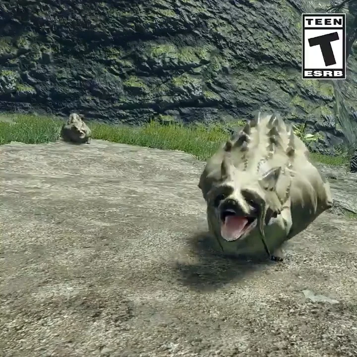 Meet the Bombadgy. Fandom