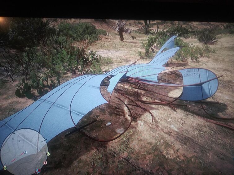 When cowboys fly