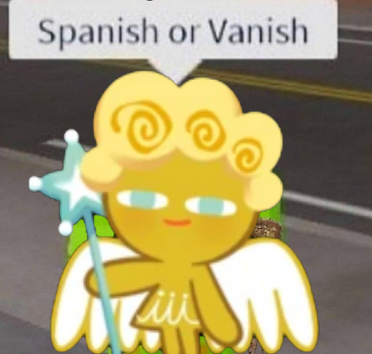 Spanish Vanish how do i type you Roblox memes I put together