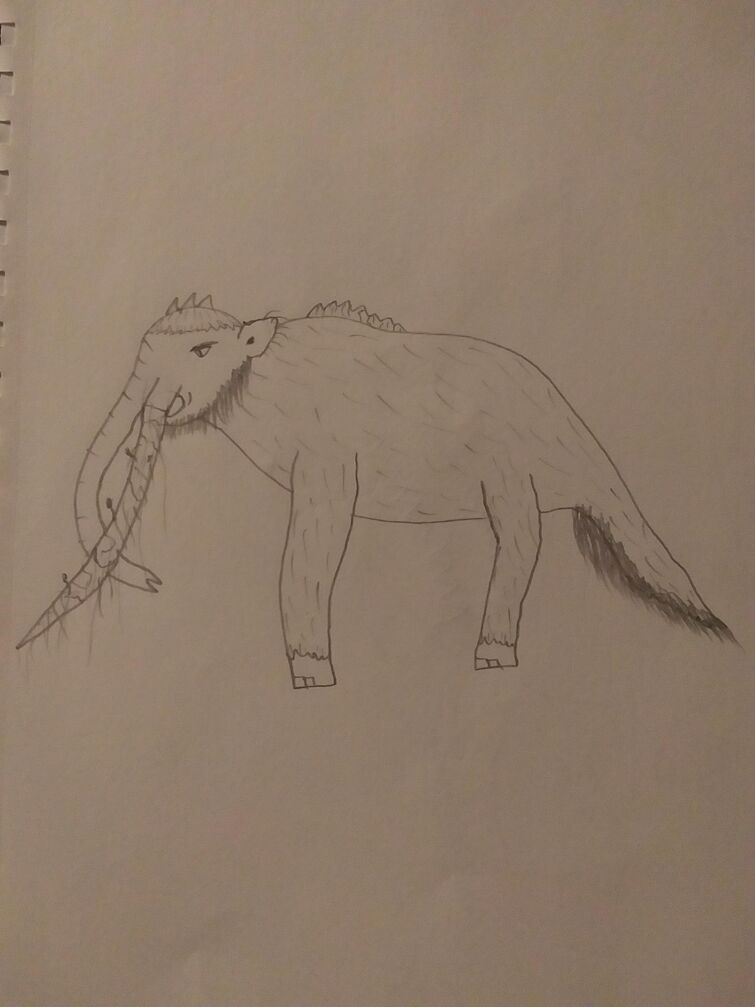 Fandom Image