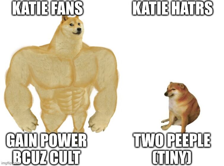 Fandom Image