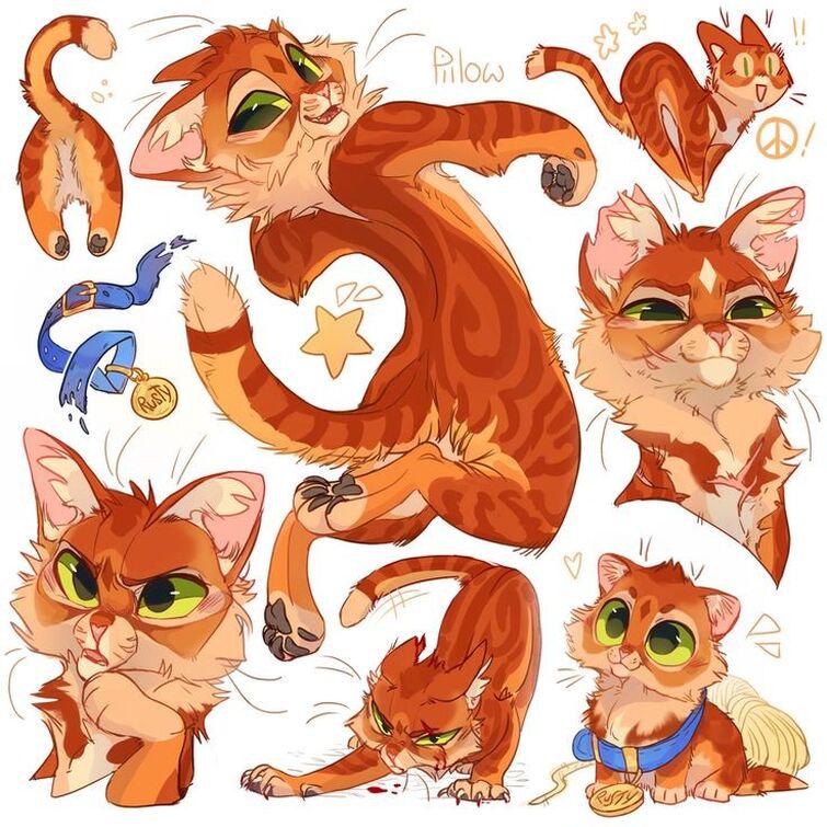 Warrior cats by GrayPillow | Fandom