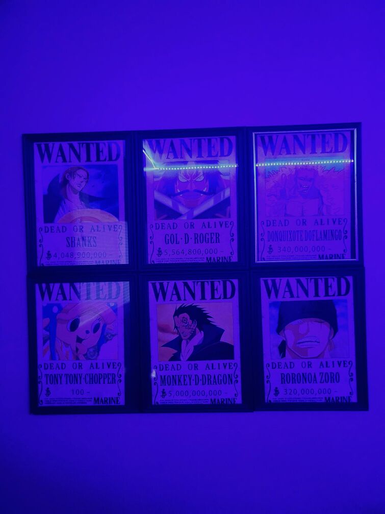 Gol D. Roger One Piece Wanted Poster Pin 