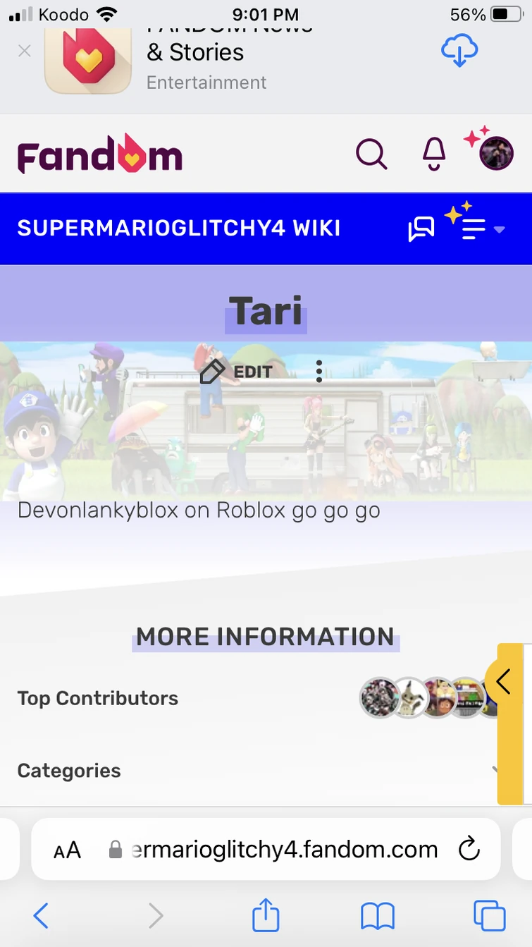 What is this…? | Fandom