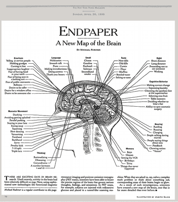 wet dry world next to a brain diagram | Fandom