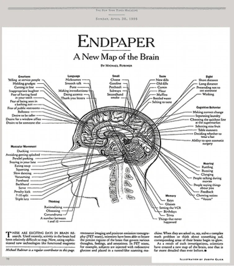 Discuss Everything About MIPS Hole Wiki | Fandom