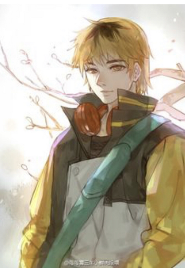 Fandom Image