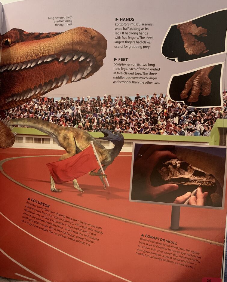 Fandom Image