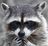 Isawedthiseconomyinhalf's avatar