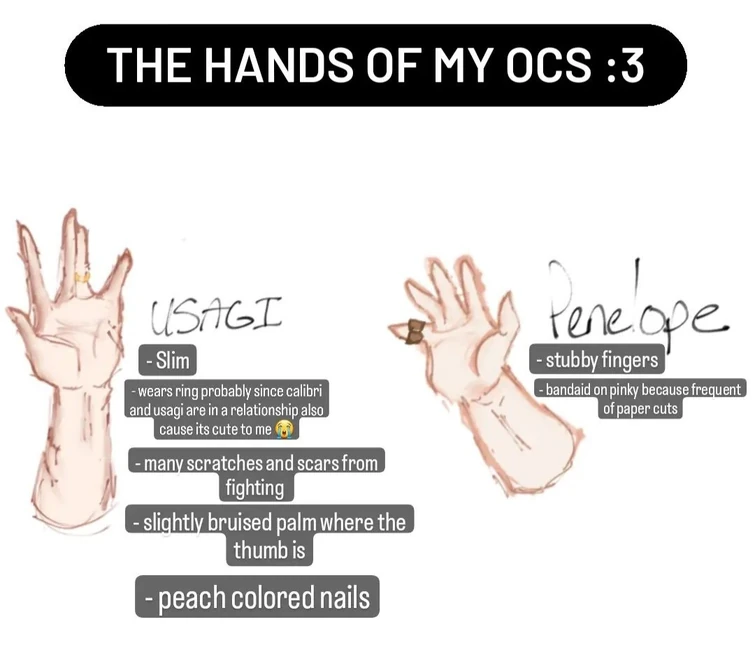 Fandom