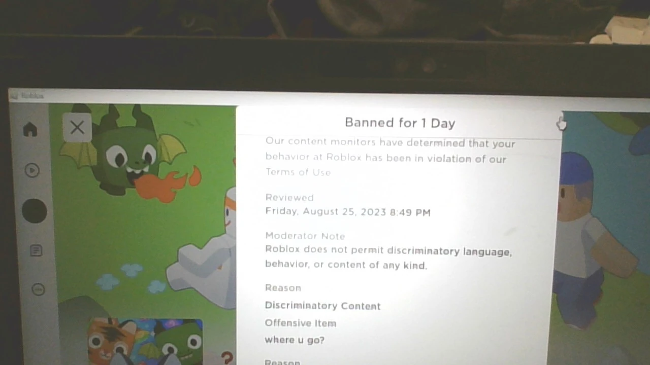 So I was playing blox fruits and got banned for saying this... Fandom