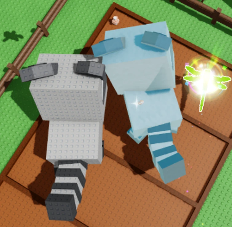 My Shiny Raccoon is slightly bigger than this guy's Mega Raccoon | Fandom