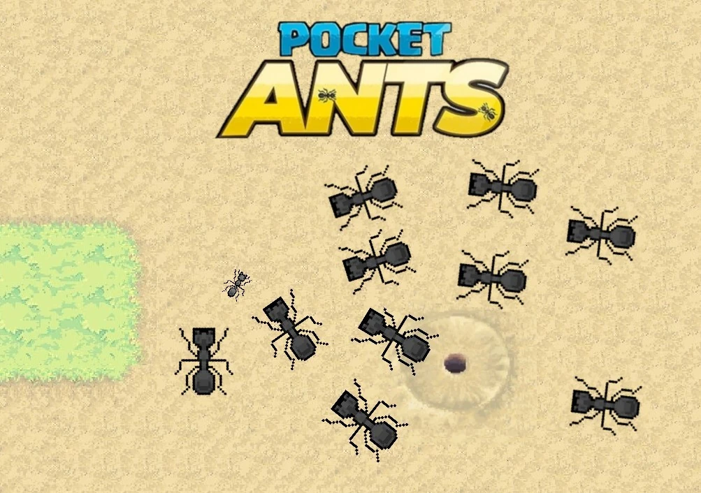Pocket ants with doorkeeper or flat shield ants Fandom