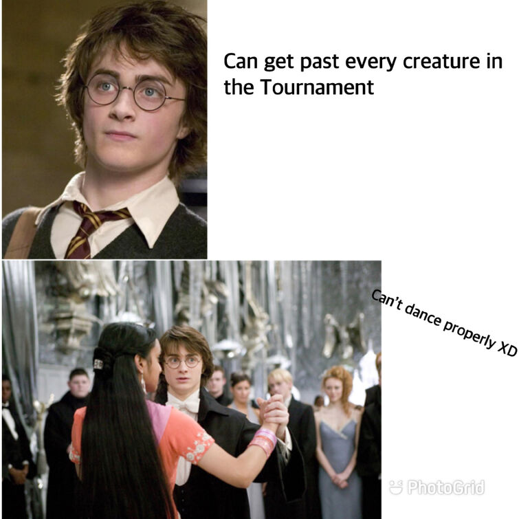 Harry Potter Meme Generator - Piñata Farms - The best meme