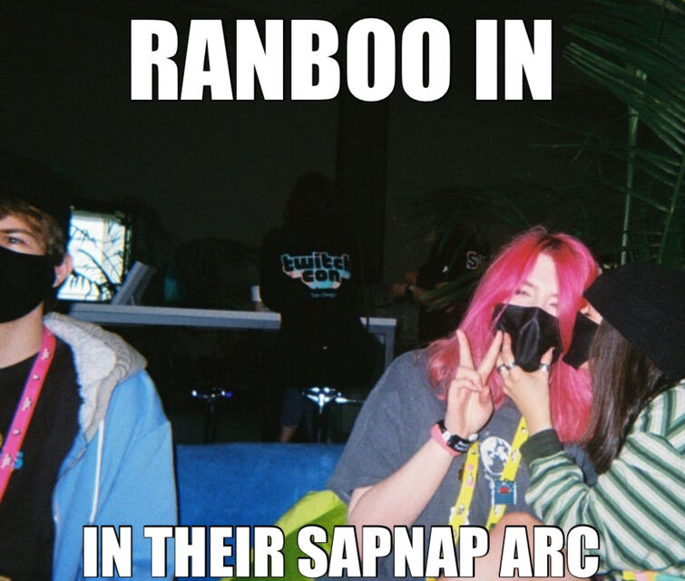 12 Super Ranboo Memes Ideas That Will Make Your Day
