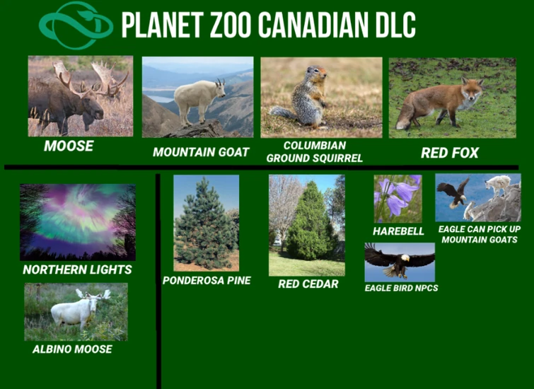 Zoo Floor Lights Not Working Viewfloor.co