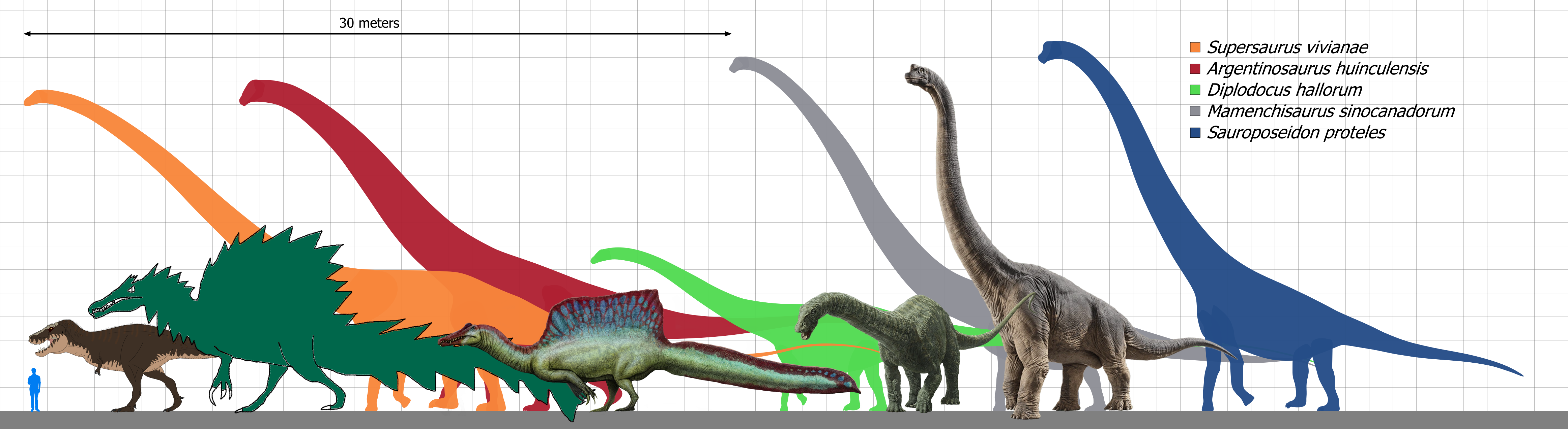 supersaurus size comparison