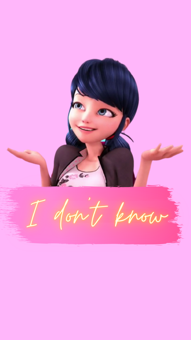 Marinette Ladybug Wallpaper And Cat Noir Wallpaper Fandom