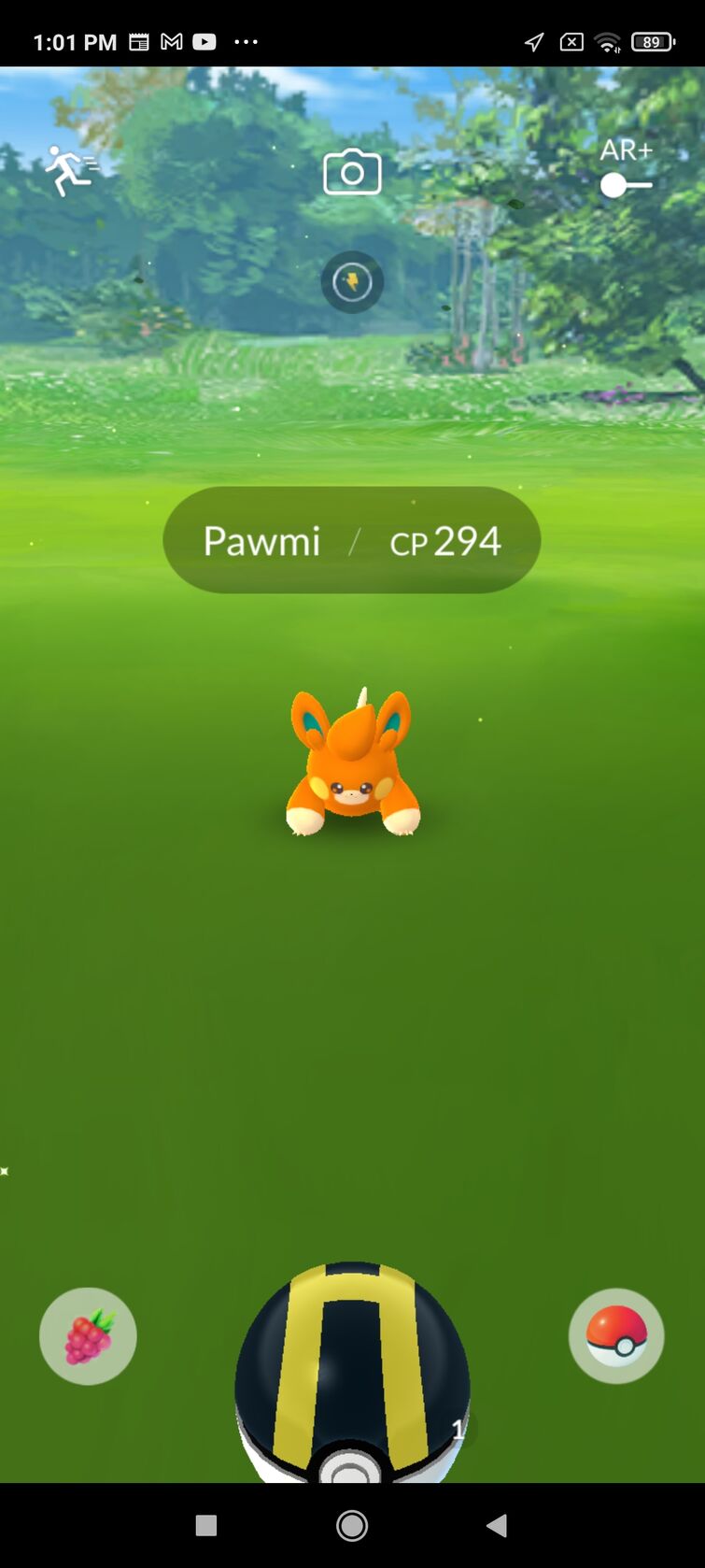 Pokemon Go: Can You Get Shiny Pawmi?