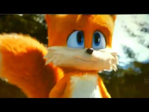 que fofo seria demas se tivesse o tails no filme junto com o sonic