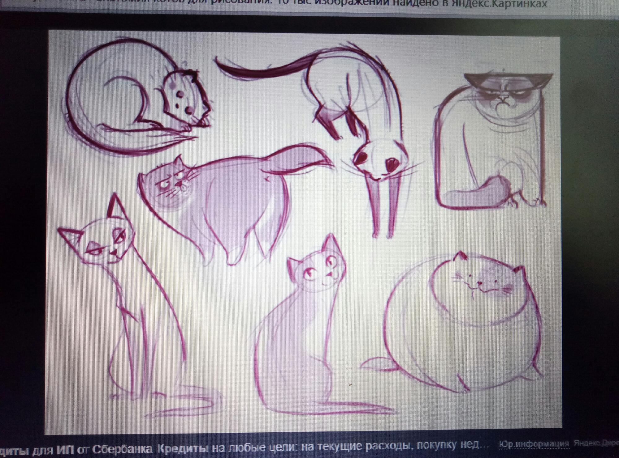 Стили рисования котов без анатомии