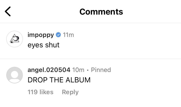 Poppy Drops 'Knockoff,' Announces Album 'Zig