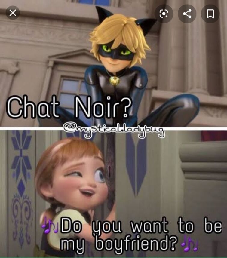 Chat Noir Adrien Lover S Memes Fandom