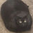 Chisel1210's avatar