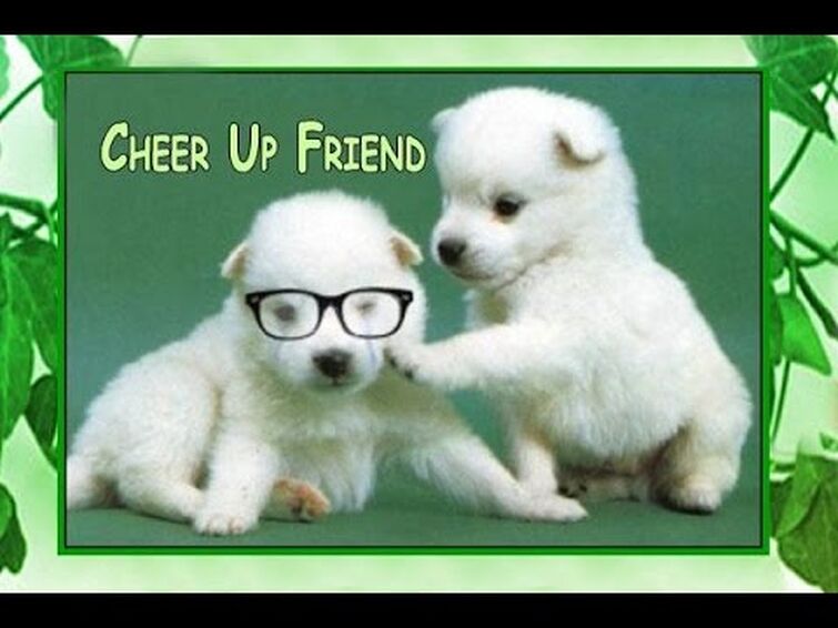 Friend up. Cheer up. Cheer up картинка. Фразы с Cheer up. Cheer up милый.