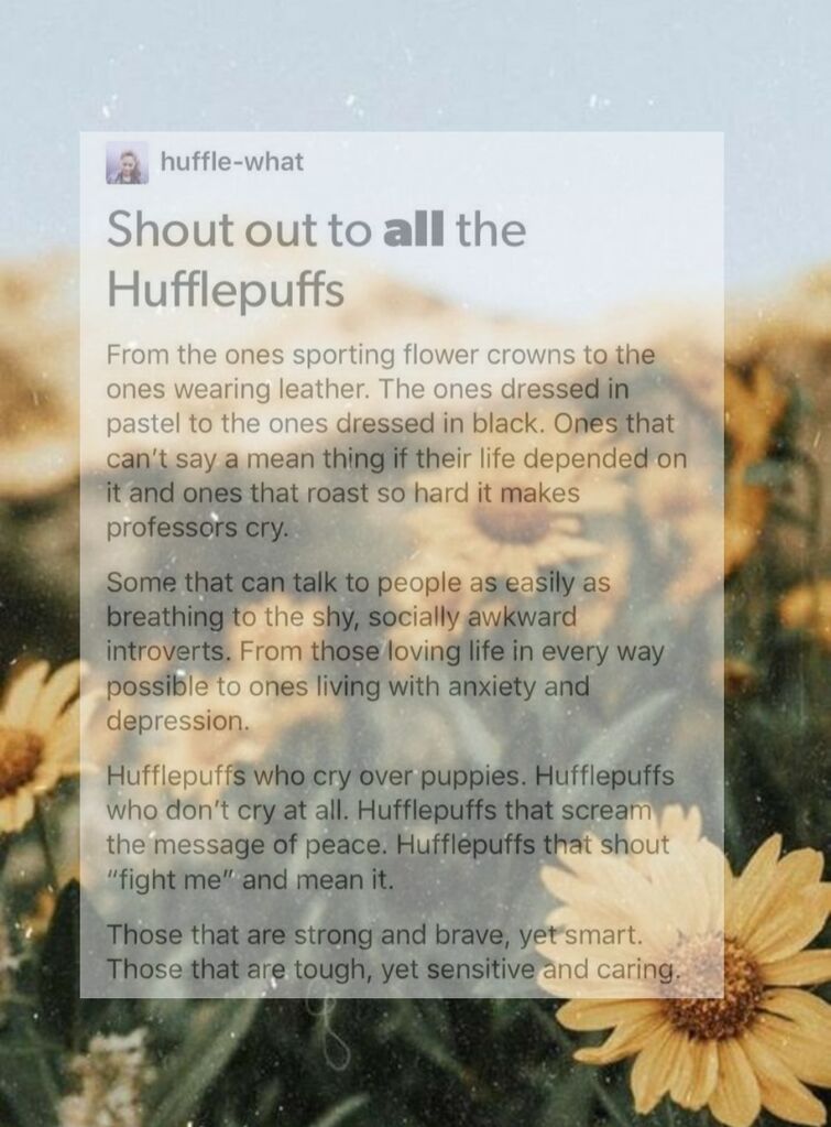 20 Funny Hufflepuff Memes & Harry Potter Quotes To Celebrate Hufflepuff  Pride Day