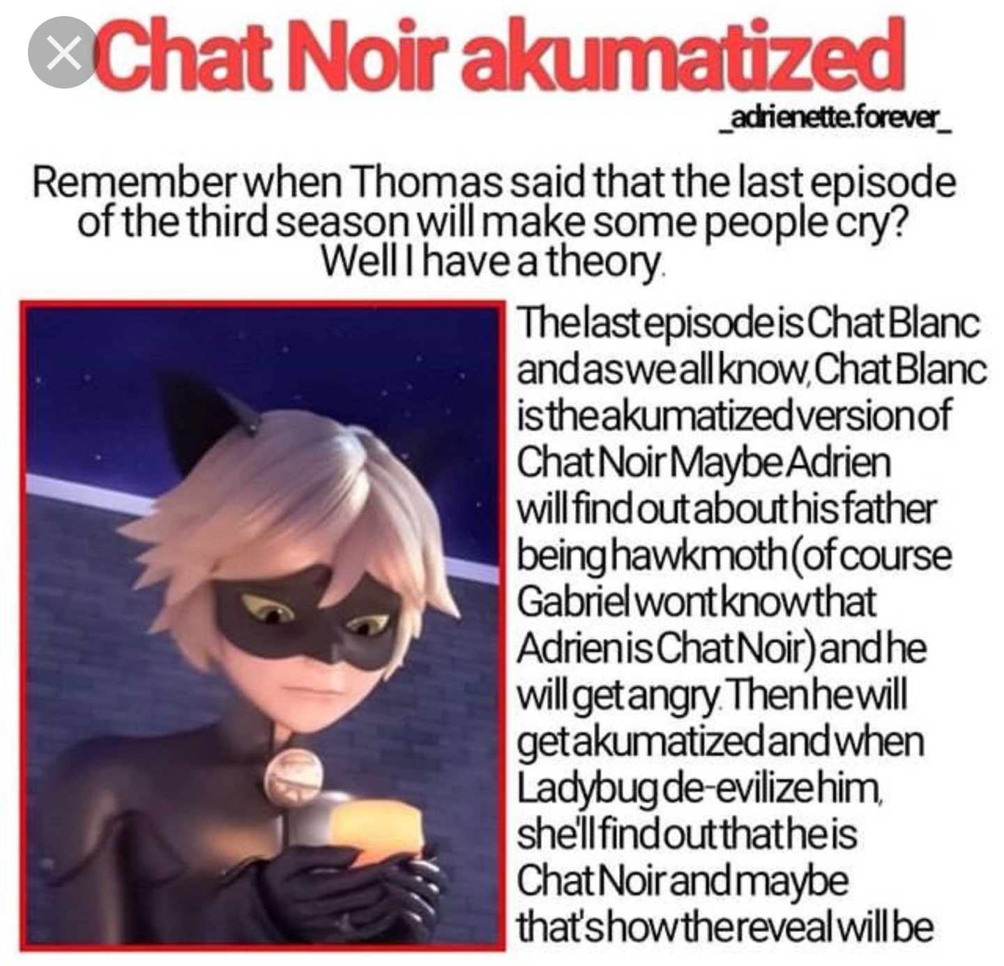 Chat Blanc Theories The Following Image Is Not Mine Fandom