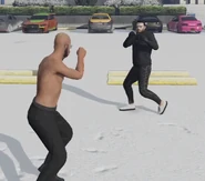 Samirvsjanek.png (240 KB) Sparing z Janeczkiem