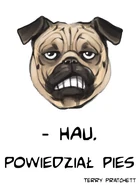 Xylax62.jpg (25 KB) Autor: Xylax