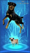 Xylax-Plakat-2.png (699 KB) Po Tato