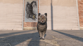 Gryfek 1