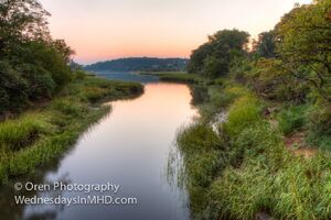 The-Marshland-Sunrise-1024x682