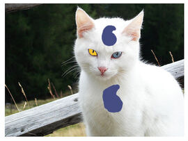 Raindrop.jpg