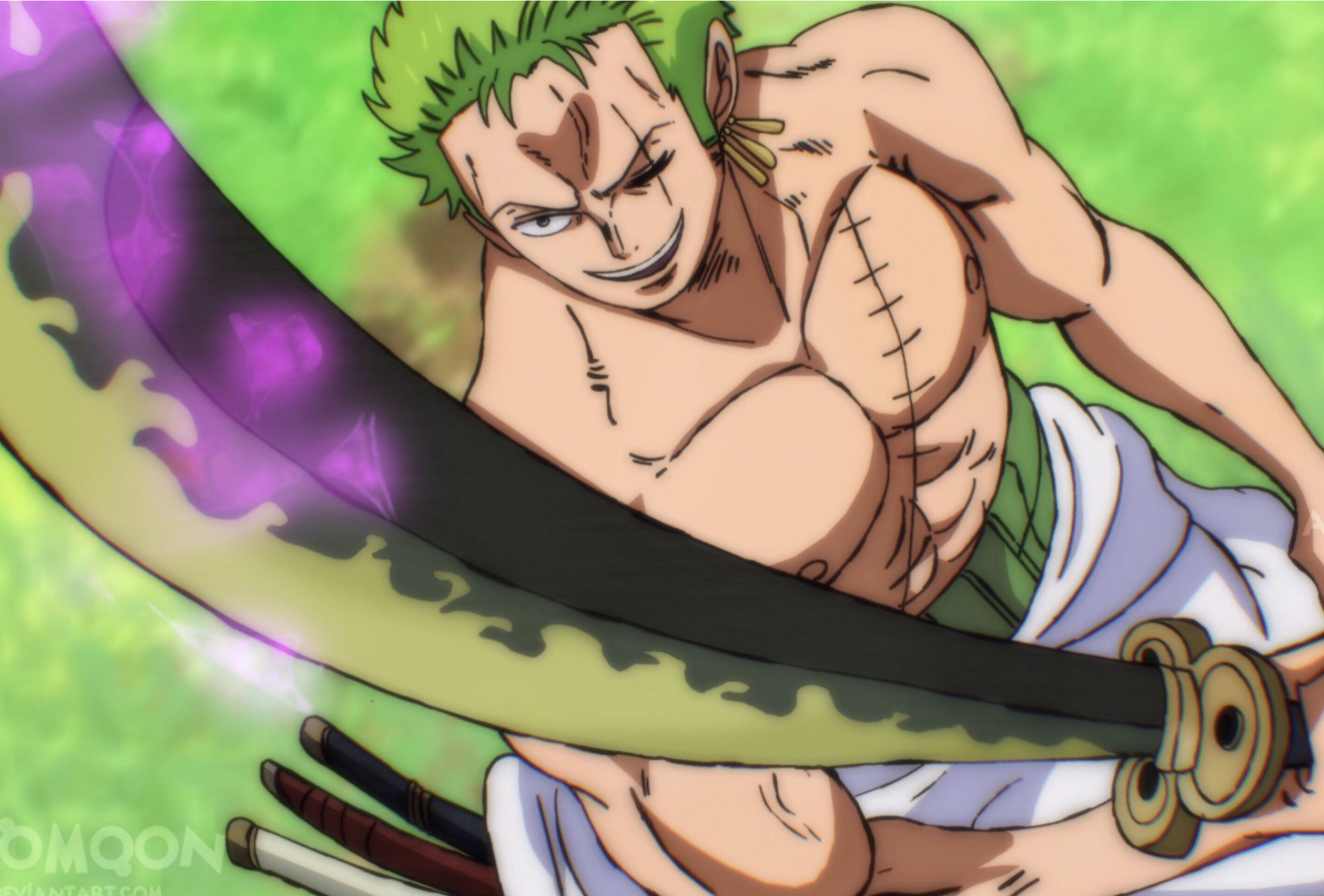 Zoro 6 Star Concept