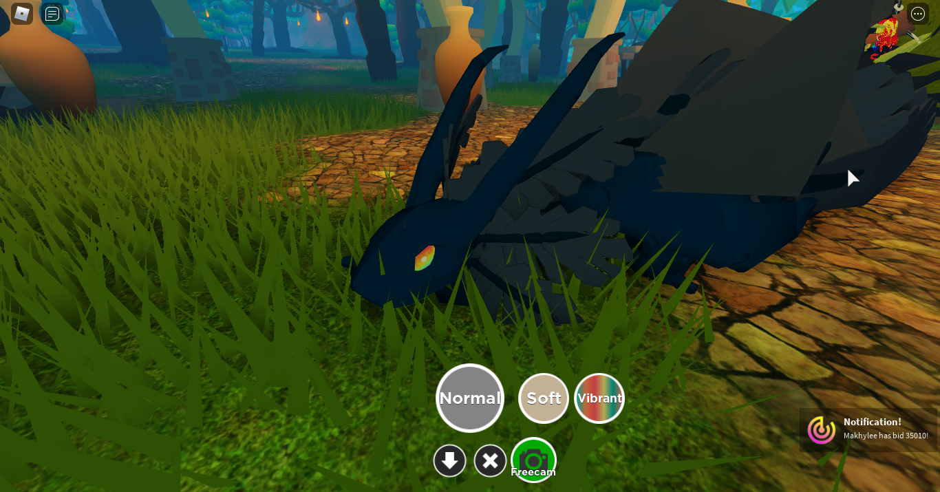 Dragon Adventures Roblox Amphyll