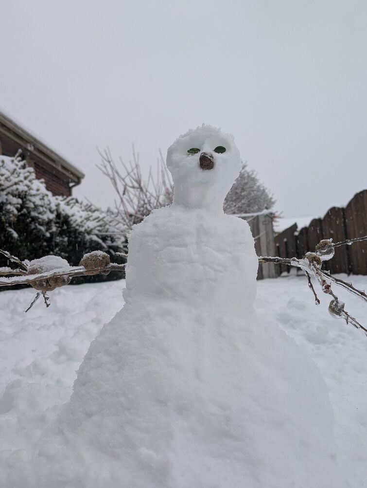 Gigachad snowman | Fandom