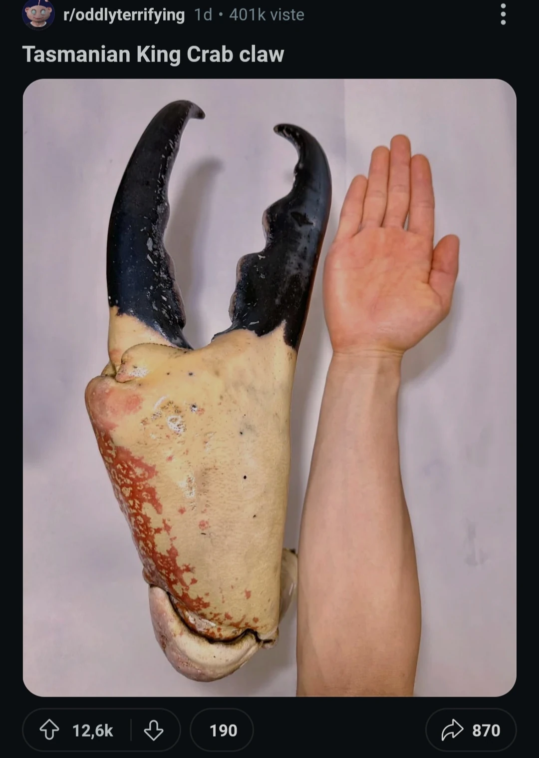 R2DA REFERENCE!!!!!!!!!!!! | Fandom