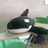 Avatar de Wilson la orca de peluche